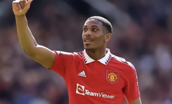 球迷情绪 球迷情绪