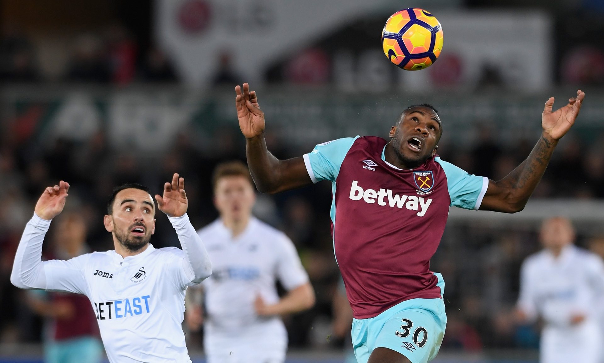 的数据显示 的数据显示